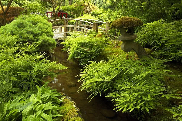 Japanese Garden, Butchart Gardens, Victoria, Vancouver Island, British Columbia, Canada