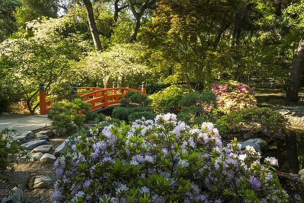 Japanese Garden in Descanso Gardens, La Canada Flintridge, California, USA