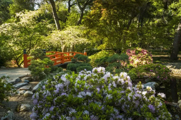 Framed Print : Japanese Garden in Descanso Gardens, La Canada Flintridge, California, USA