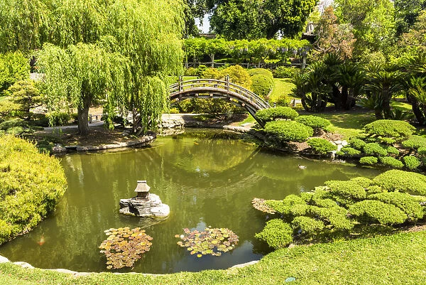 Japanese Garden Pond, Huntington Botanical Gardens, San Marino, California, USA