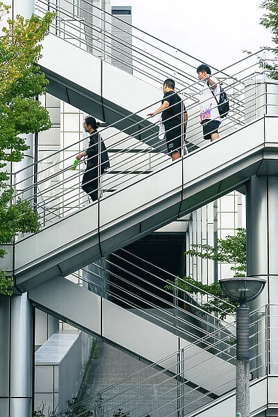 Japanese guys descending geometric scales in Tokyo