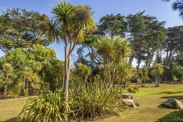 Framed Print : Jardin Exotique on the Ile de Batz, Finistere, Brittany, France Framed Print : Jardin Exotique on the Ile de Batz, Finistere, Brittany, France