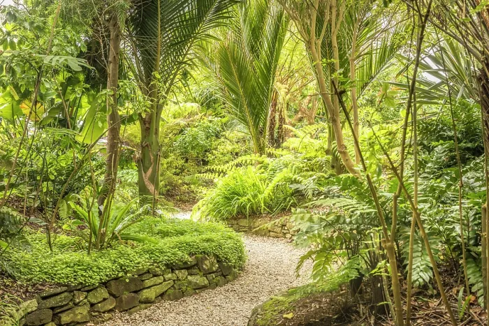 Framed Print : Jardin Exotique, Roscoff, Finistere, Brittany, France