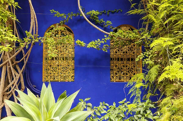 Jardin Majorelle, The Majorelle Garden is a botanical garden in Marrakech, Morocco