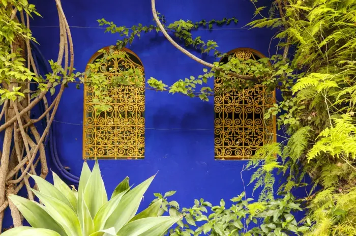 Framed Print : Jardin Majorelle, The Majorelle Garden is a botanical garden in Marrakech, Morocco Framed Print : Jardin Majorelle, The Majorelle Garden is a botanical garden in Marrakech, Morocco