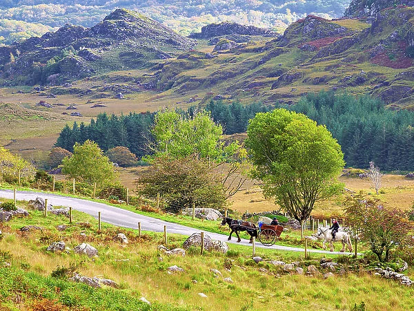 Jaunting car at the road through the Black Valley up the Head of the Gap of Dunloe, County Kerry, Ireland