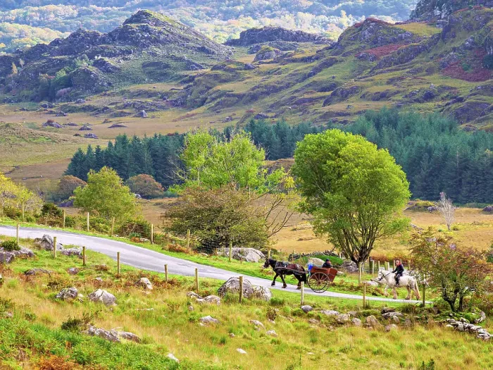 Framed Print : Jaunting car at the road through the Black Valley up the Head of the Gap of Dunloe, County Kerry, Ireland Framed Print : Jaunting car at the road through the Black Valley up the Head of the Gap of Dunloe, County Kerry, Ireland