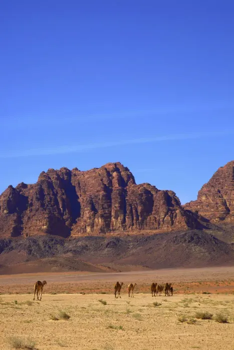 Framed Print : Jebel Qattar, Wadi Rum, Jordan, Middle East Framed Print : Jebel Qattar, Wadi Rum, Jordan, Middle East