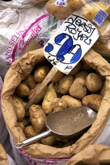Framed Print : Jersey Royal Potatoes, Jersey, Channel Islands
