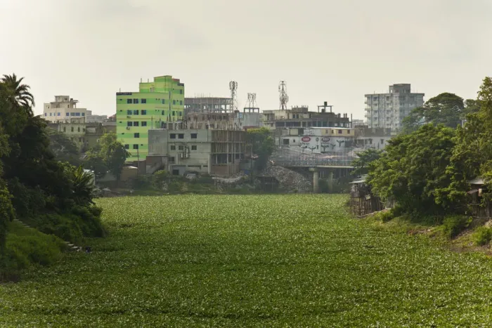 Framed Print : Jessore, Bangladesh. The Bhairab river is clogged with water hyacinth Framed Print : Jessore, Bangladesh. The Bhairab river is clogged with water hyacinth