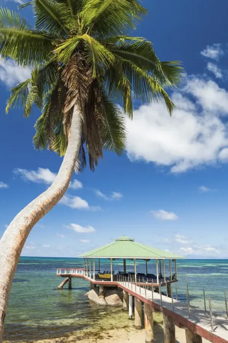 Framed Print : Jetty & Palm Tree, Praslin, Seychelles