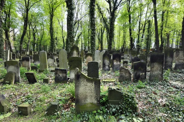 Framed Print : Jewish cemetery near Prenzlauer Berg. Berlin, Germany Framed Print : Jewish cemetery near Prenzlauer Berg. Berlin, Germany