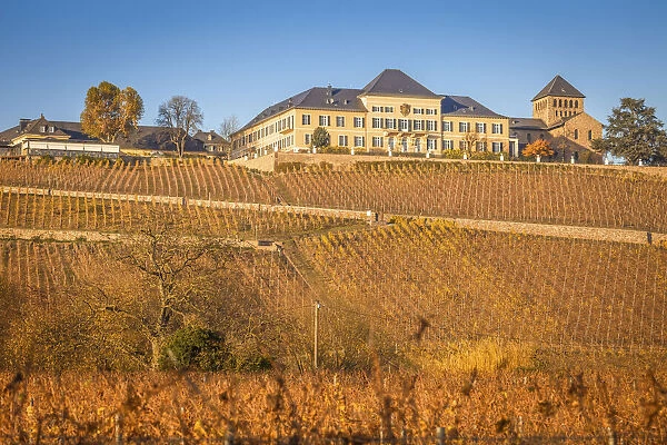 Johannisberg Castle, Rheingau, Hesse, Germany