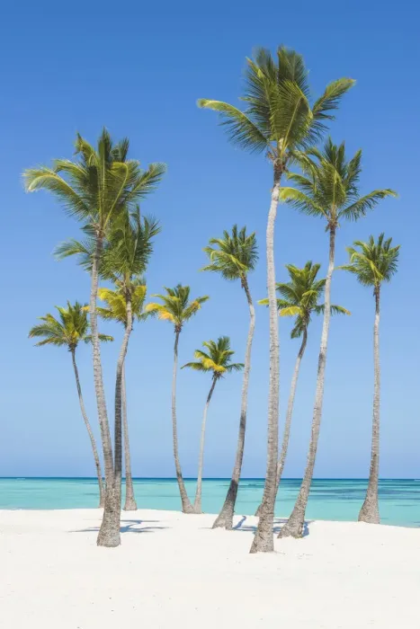 Framed Print : Juanillo Beach (playa Juanillo), Punta Cana, Dominican Republic Framed Print : Juanillo Beach (playa Juanillo), Punta Cana, Dominican Republic