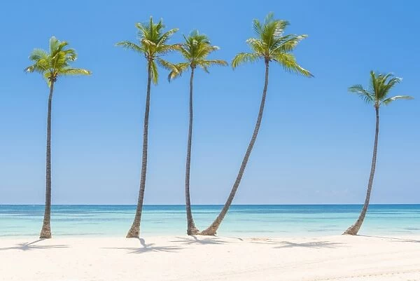 Juanillo Beach (playa Juanillo), Punta Cana, Dominican Republic. Palm-fringed beach