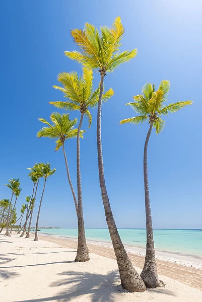 Juanillo Beach (playa Juanillo), Punta Cana, Dominican Republic. Palm-fringed beach