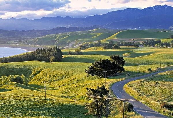 Kaikoura Peninsular, South Island, New Zealand