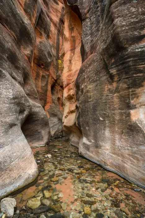 Framed Print : Kanarra Creek hiking trail through slot canyon, Kolob Canyons section of Zion National