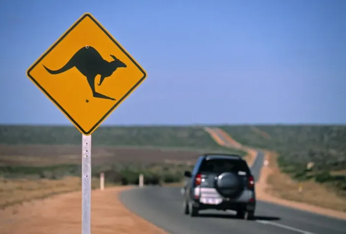 Framed Print : Kangaroo Road Sign, Western Australia, Australia Framed Print : Kangaroo Road Sign, Western Australia, Australia