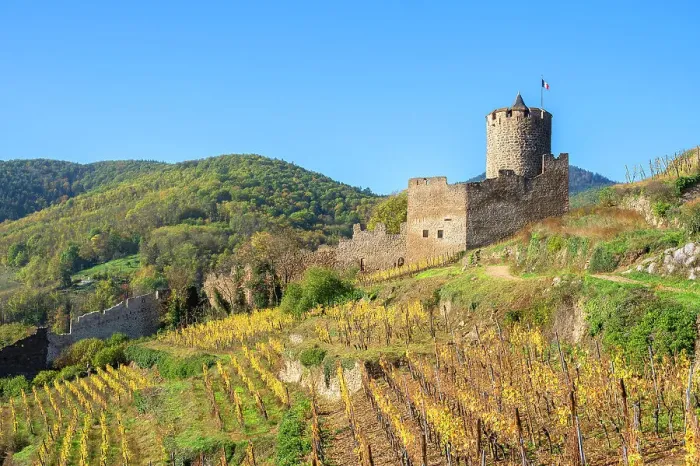 Framed Print : Kaysersberg castle, Haut-Rhin, Alsace, Alsace-Champagne-Ardenne-Lorraine, Grand Est, France Framed Print : Kaysersberg castle, Haut-Rhin, Alsace, Alsace-Champagne-Ardenne-Lorraine, Grand Est, France