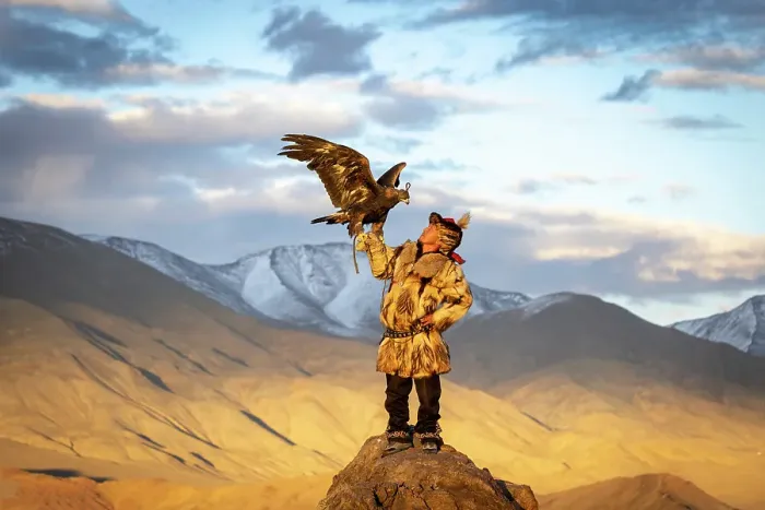 Framed Print : Kazakh Eagle Hunter with his Golden Eagle at sunset against a mountainous backdrop, Western Mongolia, Asia Framed Print : Kazakh Eagle Hunter with his Golden Eagle at sunset against a mountainous backdrop, Western Mongolia, Asia