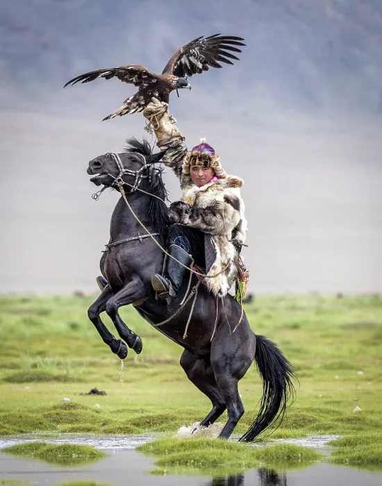 Framed Print : Kazakh Eagle hunter on horseback with his trained golden eagle, Bayan-Ulgii Province, Western Mongolia, Asia Framed Print : Kazakh Eagle hunter on horseback with his trained golden eagle, Bayan-Ulgii Province, Western Mongolia, Asia