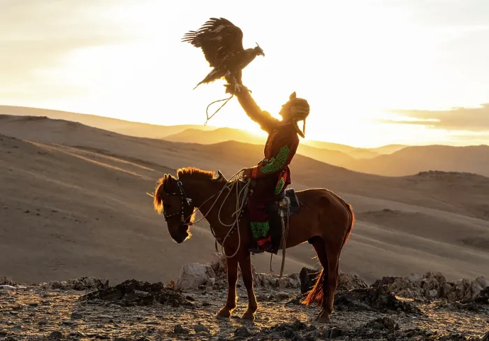 Framed Print : Kazakh Eagle at sunset on horseback with his trained golden eagle, Bayan-Ulgii Province, Western Mongolia, Asia Framed Print : Kazakh Eagle at sunset on horseback with his trained golden eagle, Bayan-Ulgii Province, Western Mongolia, Asia