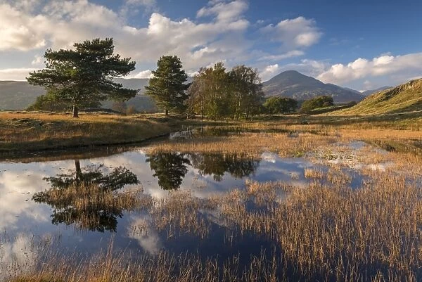 Kelly Hall Tarn and the Coniston Old Man, Lake District, Cumbria, England. Autumn