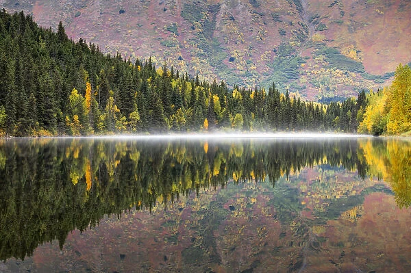 Kenai peninsula, Alaska, United States of America
