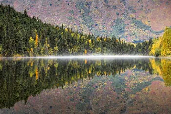 Framed Print : Kenai peninsula, Alaska, United States of America Framed Print : Kenai peninsula, Alaska, United States of America