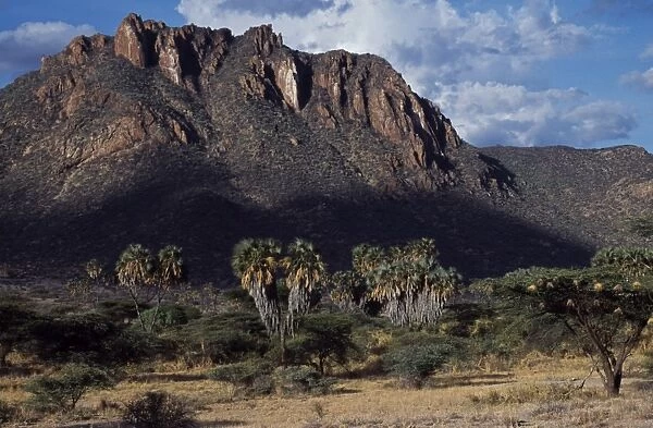 Kenya, Samburu, Shaba