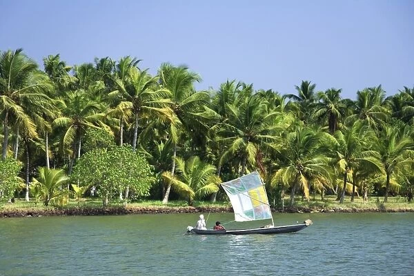 Kerala Backwaters near Allapuzha