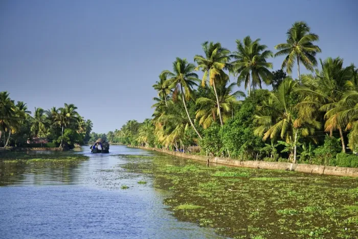 Framed Print : Kerala Backwaters near Allapuzha, Kerala, India