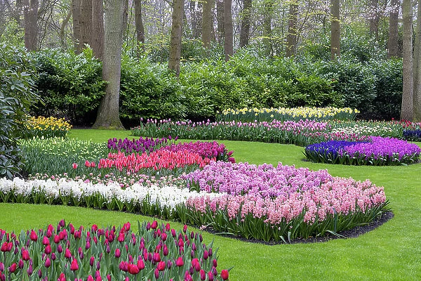 Keukenhof gardens, Lisse, North Holland, Netherlands