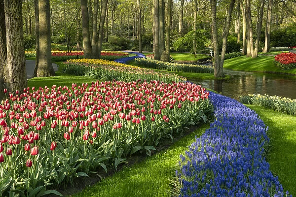 Keukenhof Gardens in Spring, Lisse, Holland, Netherlands