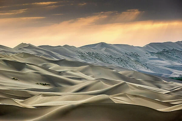 Khongoryn Els sand dunes at sunset, Gobi Desert, Mongolia