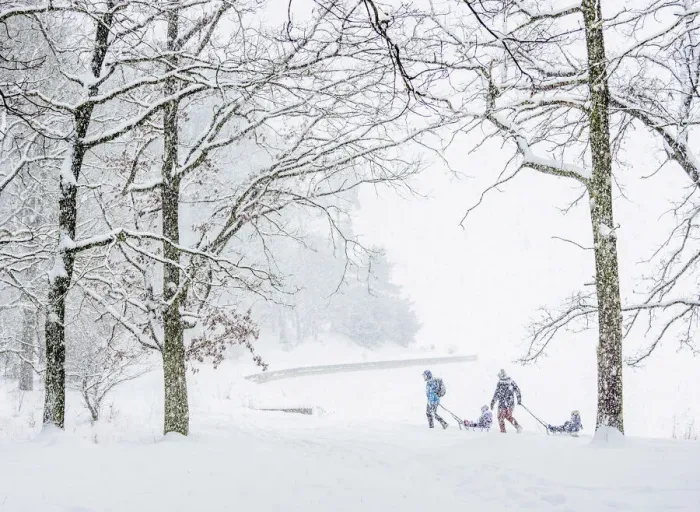 Framed Print : Kids on sledges by the Zemborzycki lakefront at snowstorm, Lublin, Lublin Voivodeship Framed Print : Kids on sledges by the Zemborzycki lakefront at snowstorm, Lublin, Lublin Voivodeship