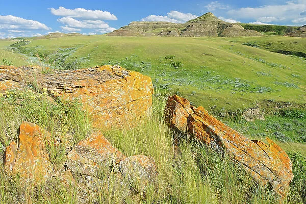 Killdeer Badlands amongst grasslands (East Block) Grasslands National Park Saskatchewan, Canada