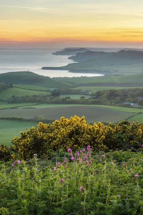 Framed Print : Kimmeridge Bay and Gad Cliff from Swyre Head, Jurassic Coast World Heritage Site, Isle of Purbeck, Dorset, England, UK, April 2025