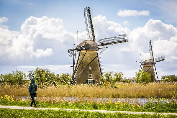 Kinderdijk, windmills in Holland, world heritage site