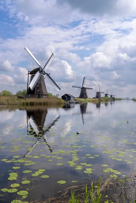 Framed Print : Kinderdijk windmills, South Holland, Netherlands Framed Print : Kinderdijk windmills, South Holland, Netherlands