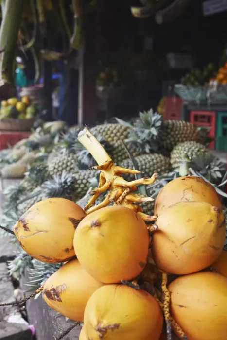 Framed Print : King coconuts at fruit stall in market, Galle, Sri Lanka Framed Print : King coconuts at fruit stall in market, Galle, Sri Lanka