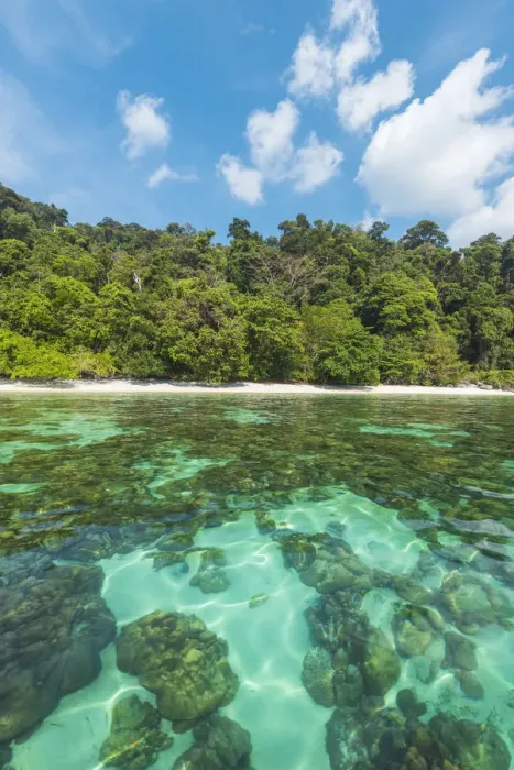 Framed Print : Ko Lipe, Satun Province, Thailand. Turquoise colored and transparent waters