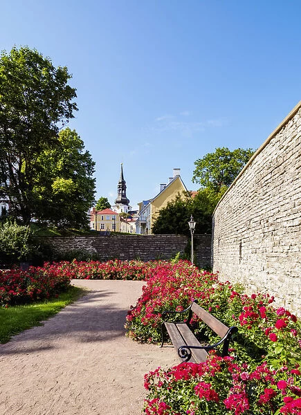 Komandandi Garden, Old Town Walls, Tallinn, Estonia