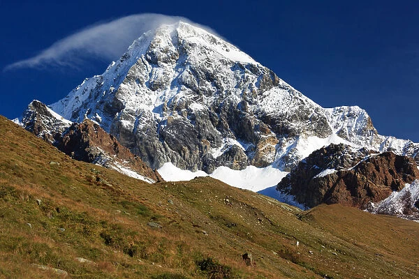 Konigsspitze - Gran Zebru mountain after a summer snowfall, near Rifugio Pizzini hut, Val Cedec, Valfurva, Valtellina, Province of Sondrio, Lombardy, Italy