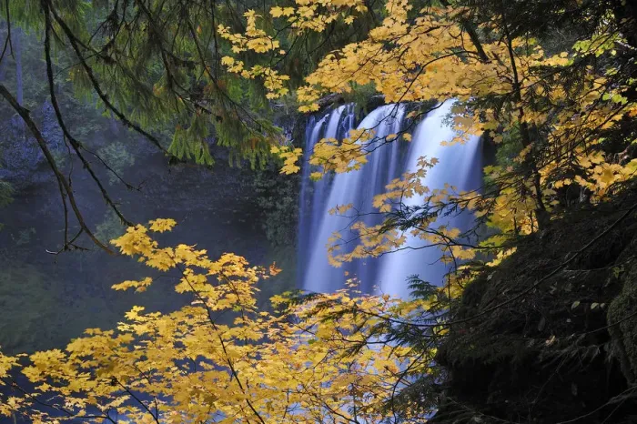 Framed Print : Koosah Falls in Willamette National Forest, Oregon, USA Framed Print : Koosah Falls in Willamette National Forest, Oregon, USA