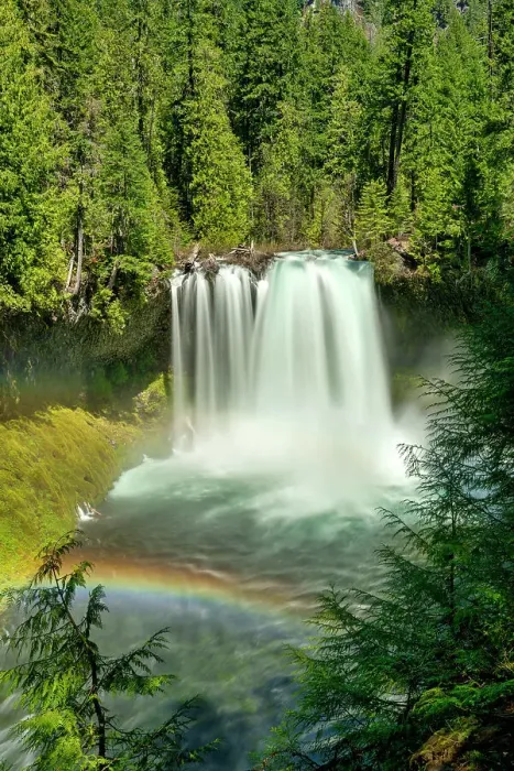 Framed Print : Koosah Falls, Willamette National Forest, Oregon, USA Framed Print : Koosah Falls, Willamette National Forest, Oregon, USA