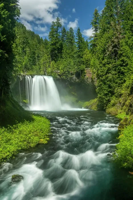 Framed Print : Koosah Falls, Willamette National Forest, Oregon, USA Framed Print : Koosah Falls, Willamette National Forest, Oregon, USA