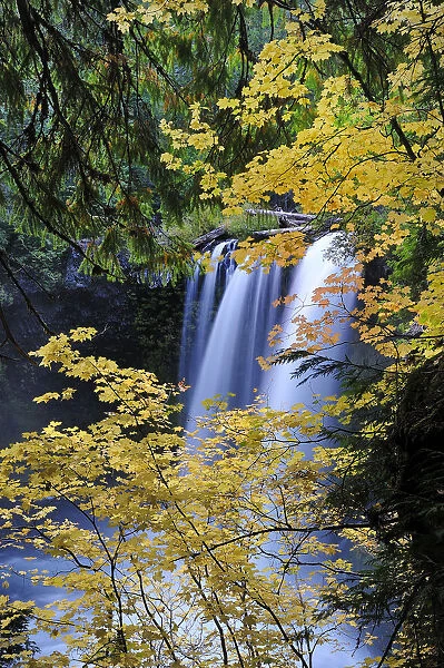 Koosah Falls in Willamette National Forest, Oregon, USA