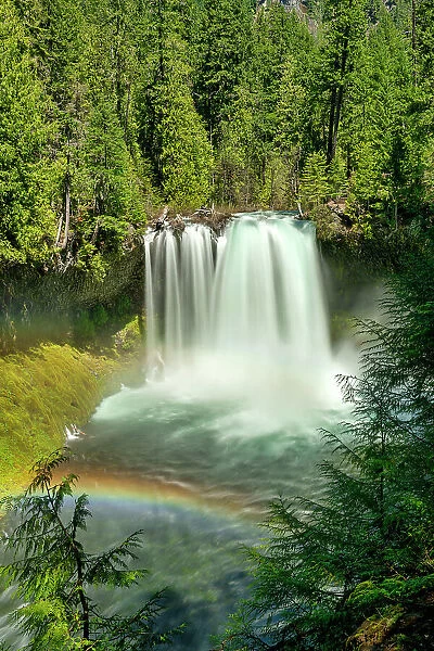 Koosah Falls, Willamette National Forest, Oregon, USA